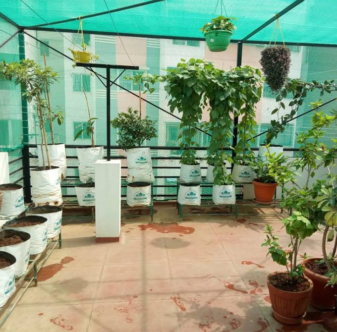 Terrace Top Safety Nets